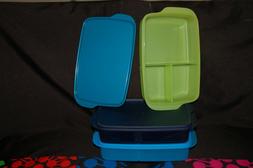 rectangular divided lunch box 10x6x2 bento large